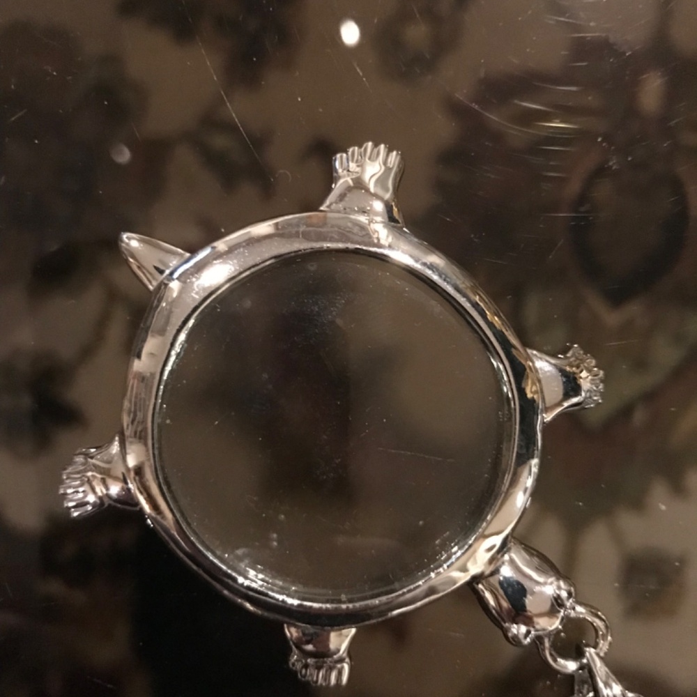 Turtle magnifying glass with a beautiful purse. - Picture 2 of 6